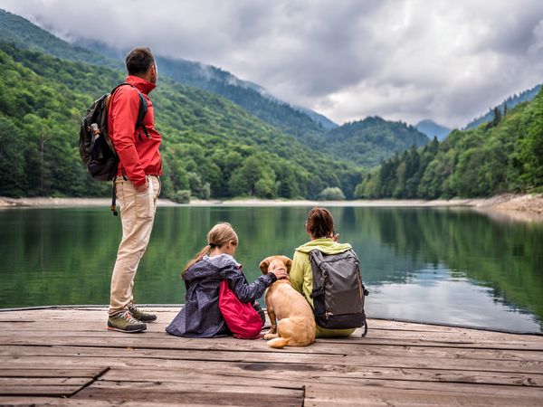 2 Tage Urlaub mit Hund im Allgäu, Natürlich & Entspannt. 🐾 in Kaufbeuren, Bayern inkl. Frühstück Unkategorisiert online kaufen