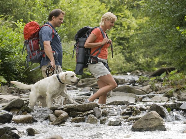 Tierisch Wels - Urlaub mit dem Hund | 3 Tage, Oberösterreich inkl. Frühstück Unkategorisiert online kaufen