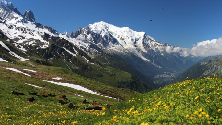 Die höchsten Berge der Alpen